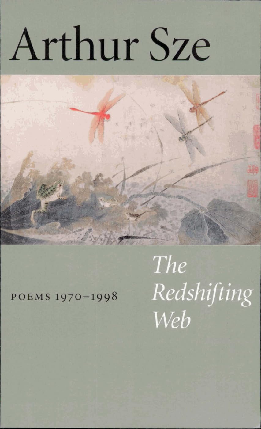 The Redshifting Web book cover