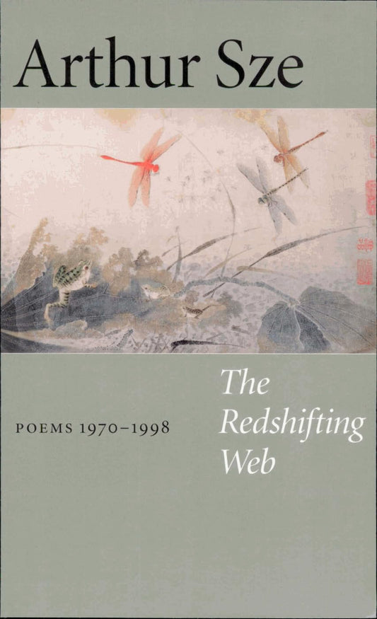 The Redshifting Web book cover
