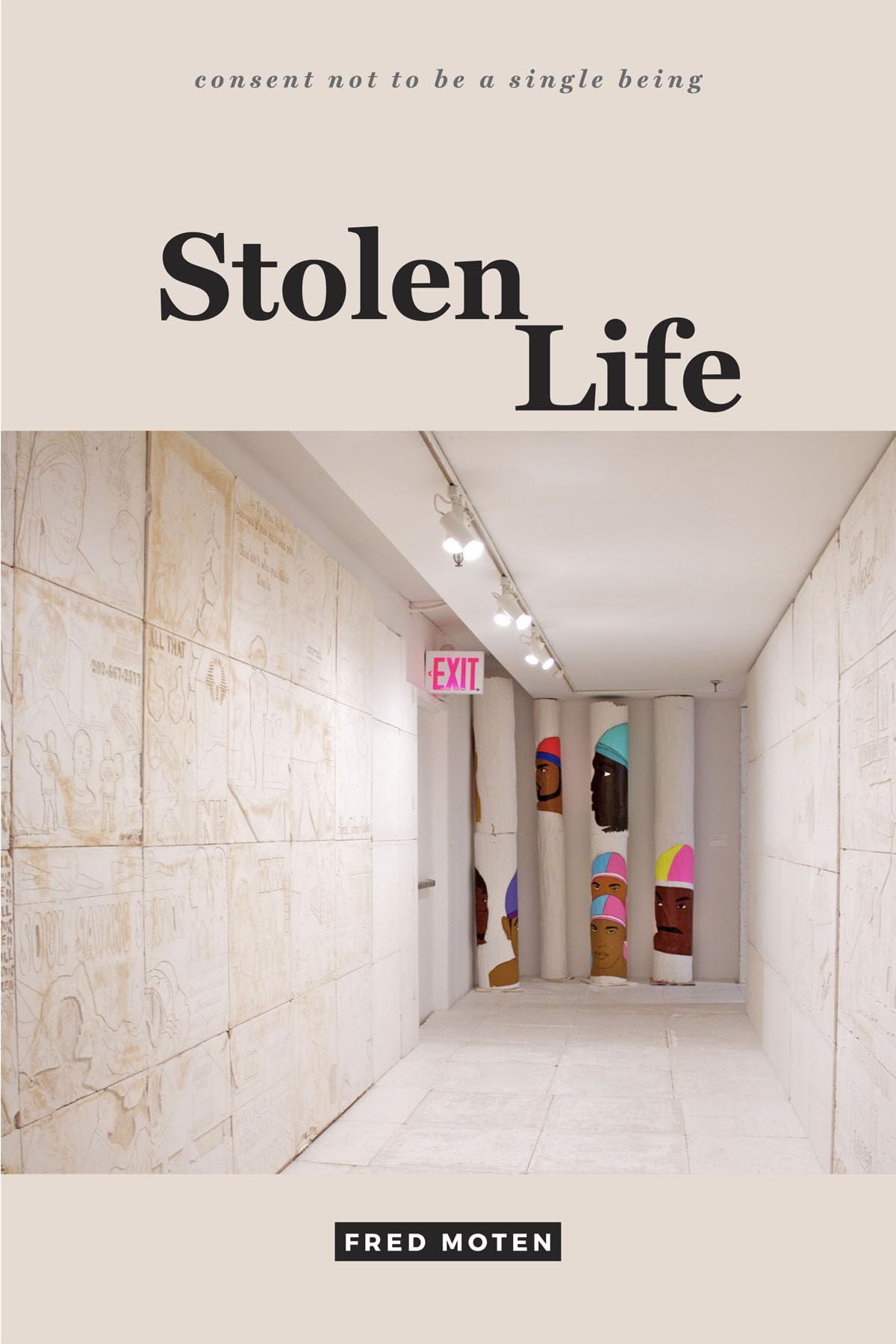 Stolen Life book cover