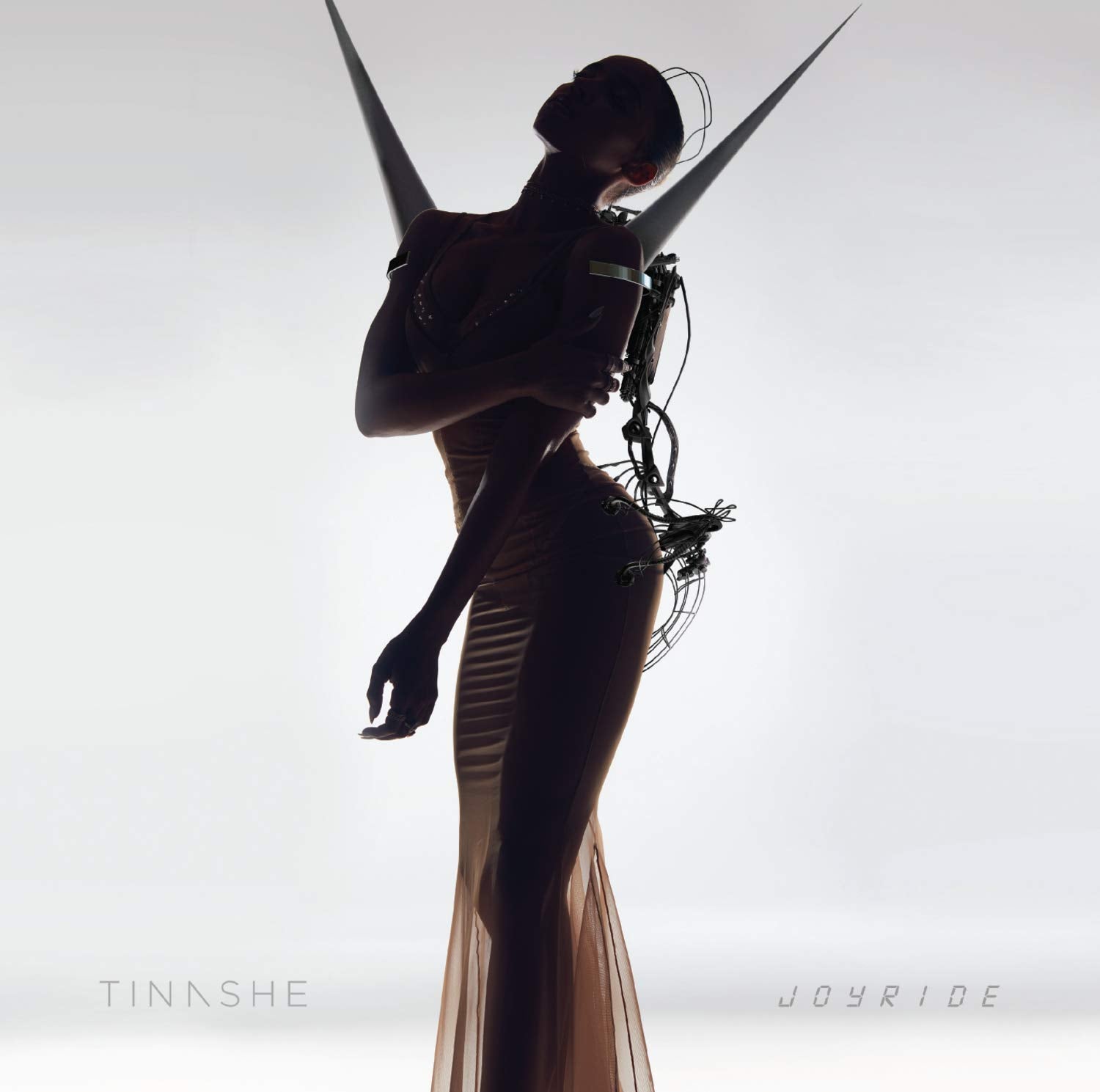 Joyride book cover