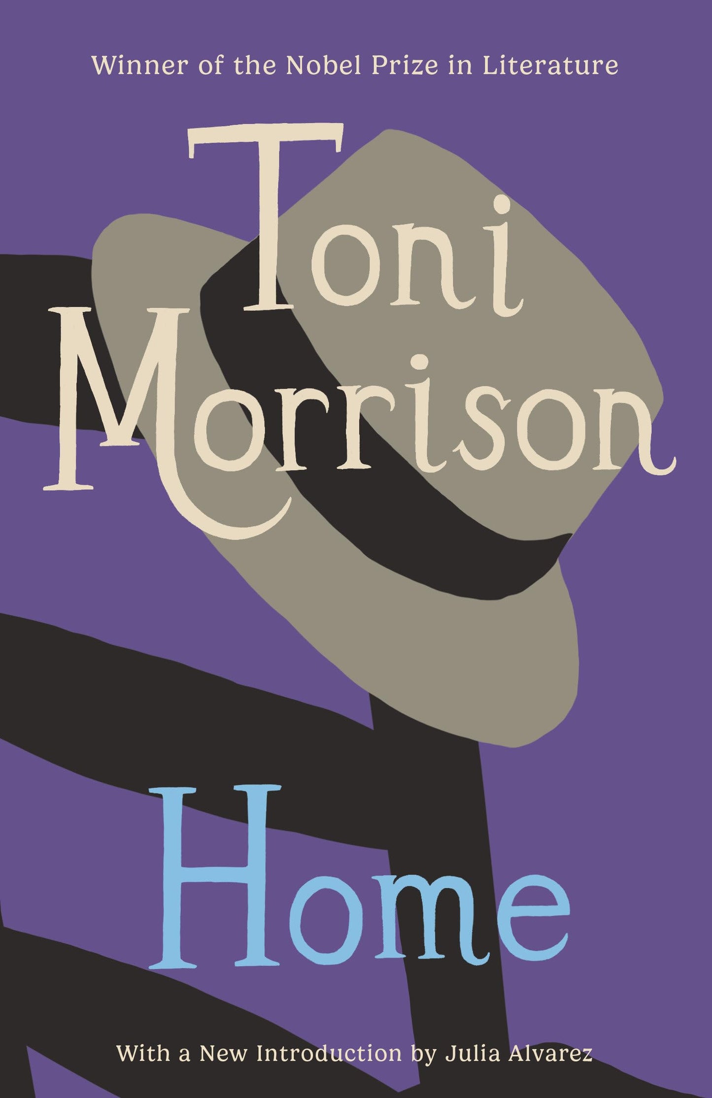 Home book cover