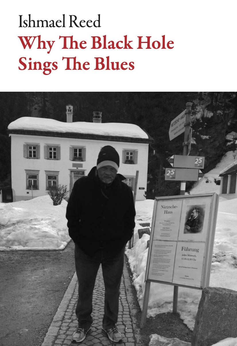 Why the Black Hole Sings the Blues book cover