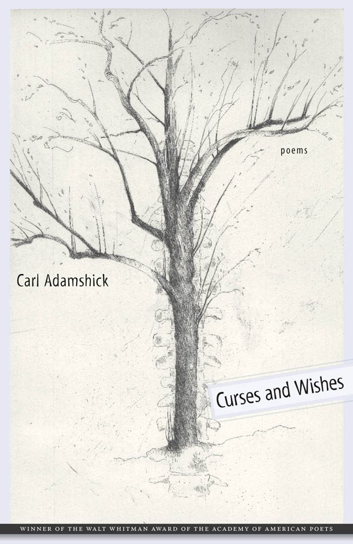 Curses and Wishes: Poems book cover