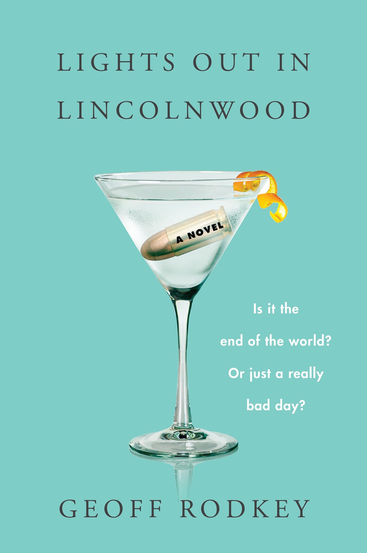 Lights Out in Lincolnwood book cover