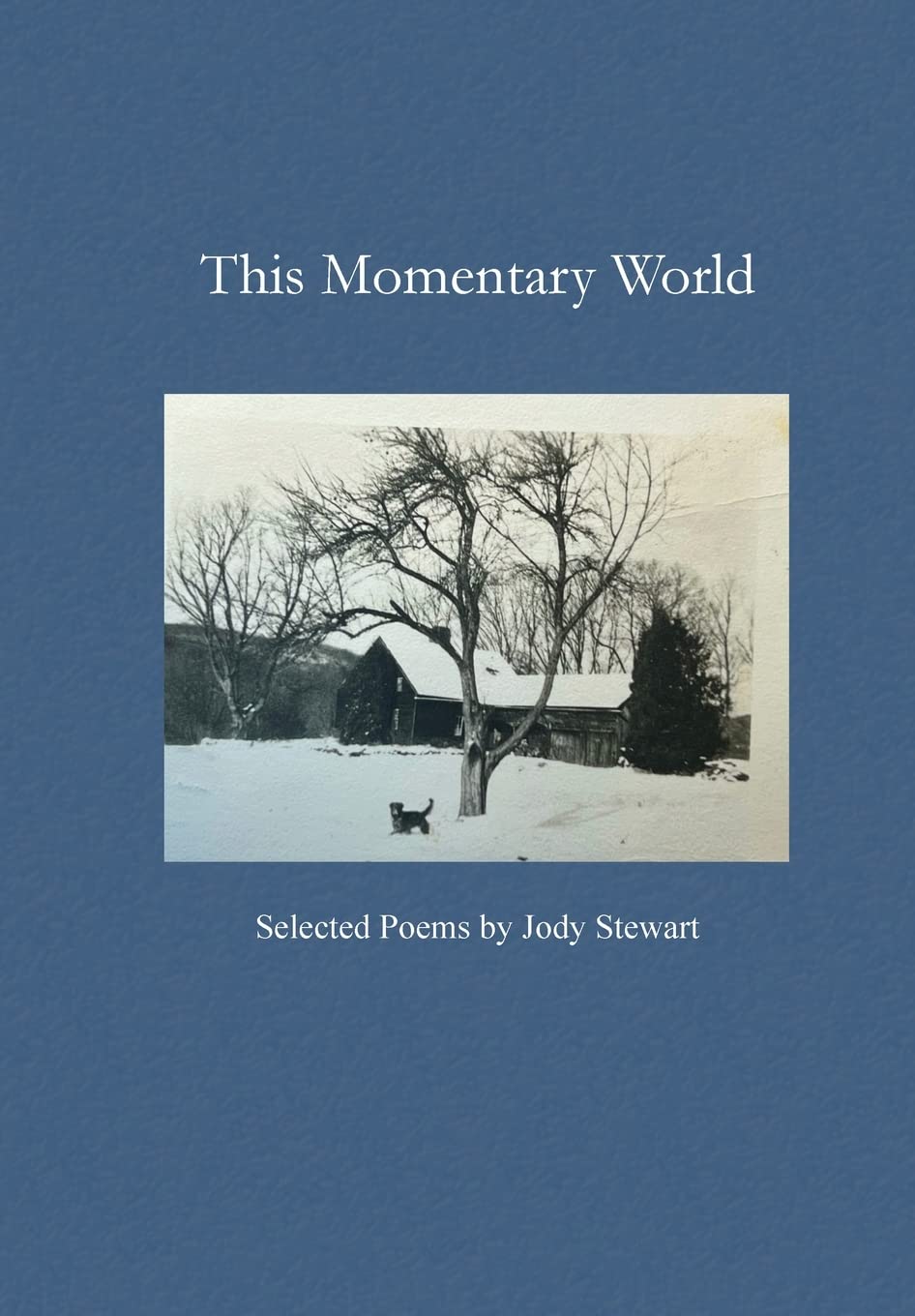 This Momentary World book cover