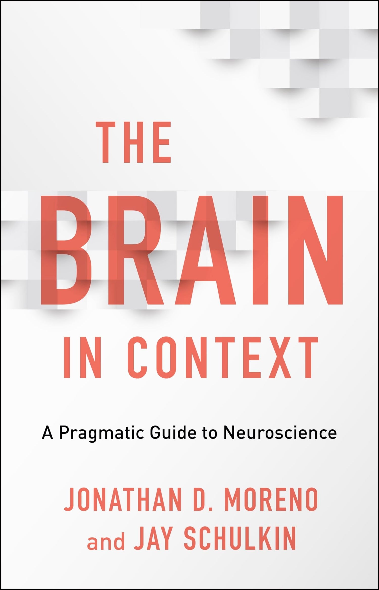 Brain in Context: A Pragmatic Guide to Neuroscience book cover
