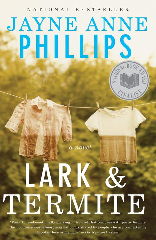 Lark and Termite book cover