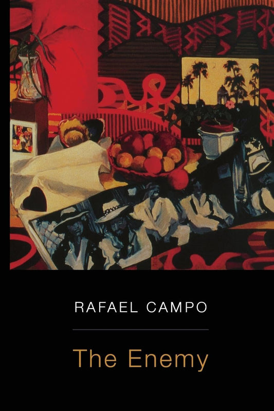 Enemy book cover