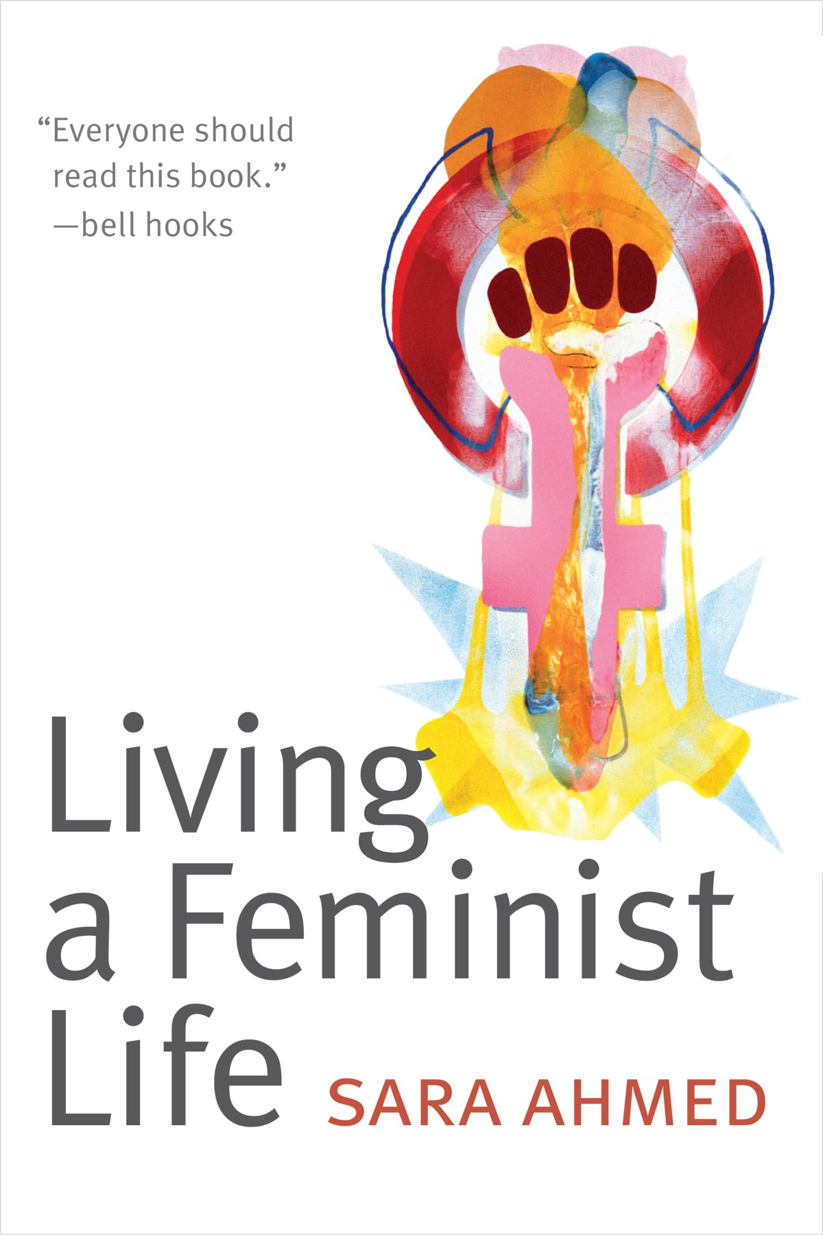 Living a Feminist Life book cover