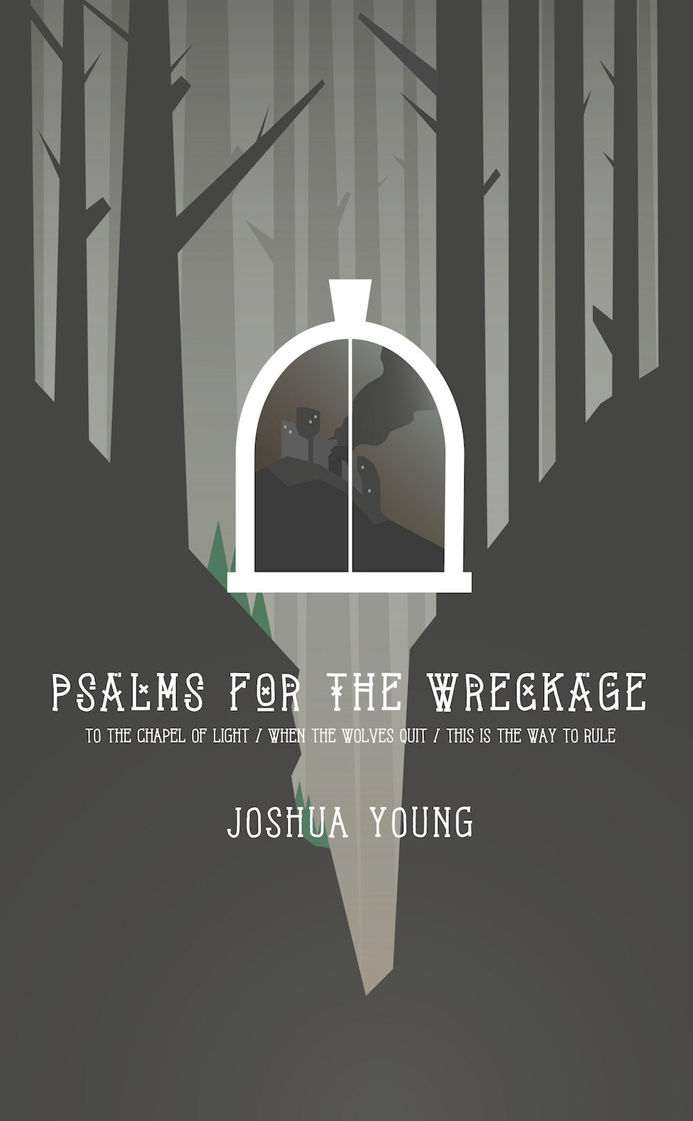 Psalms for the Wreckage book cover