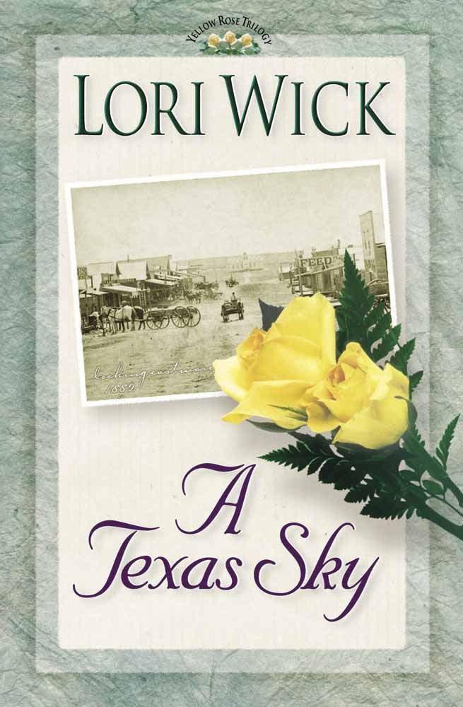 Texas Sky book cover