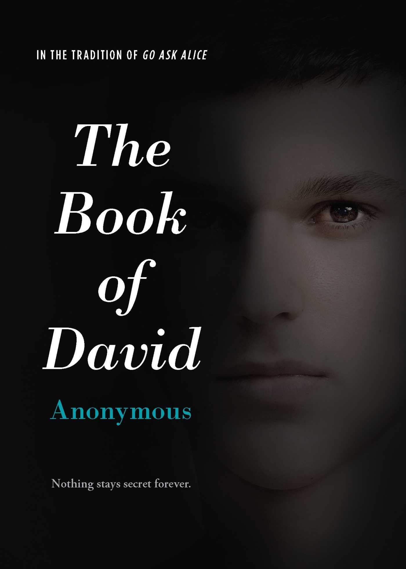 Book of David book cover