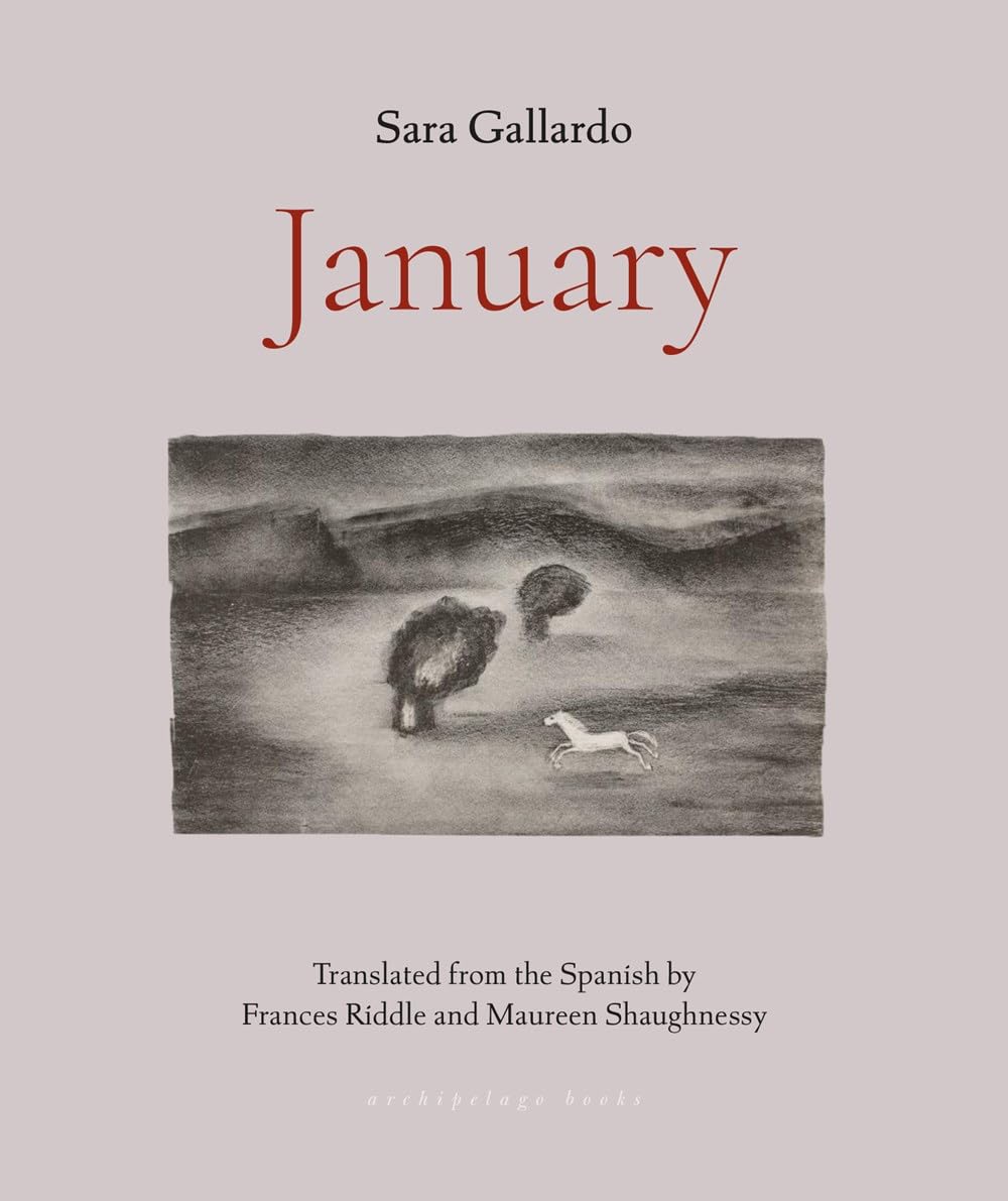 January book cover