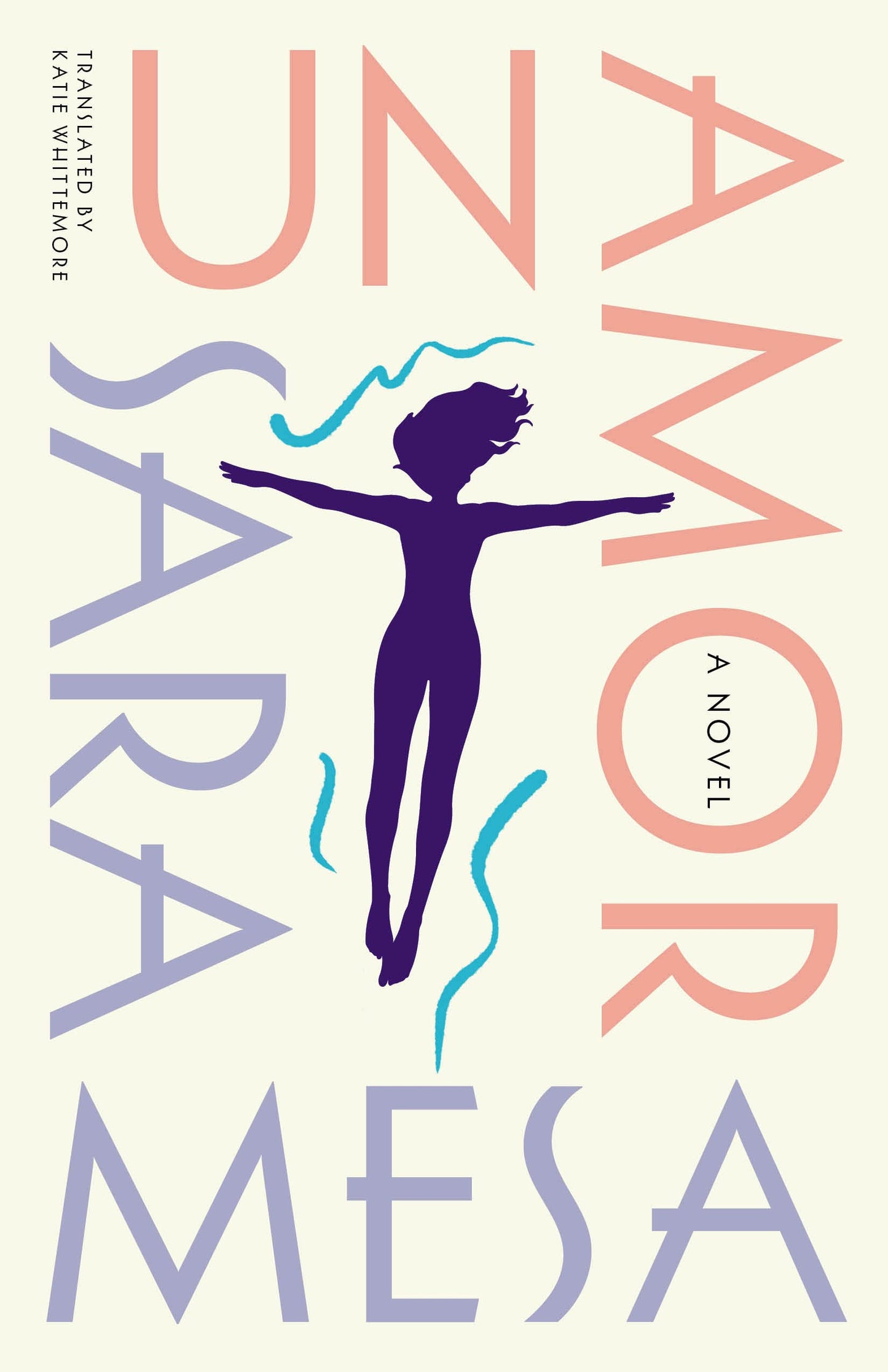 Un Amor: A Novel book cover