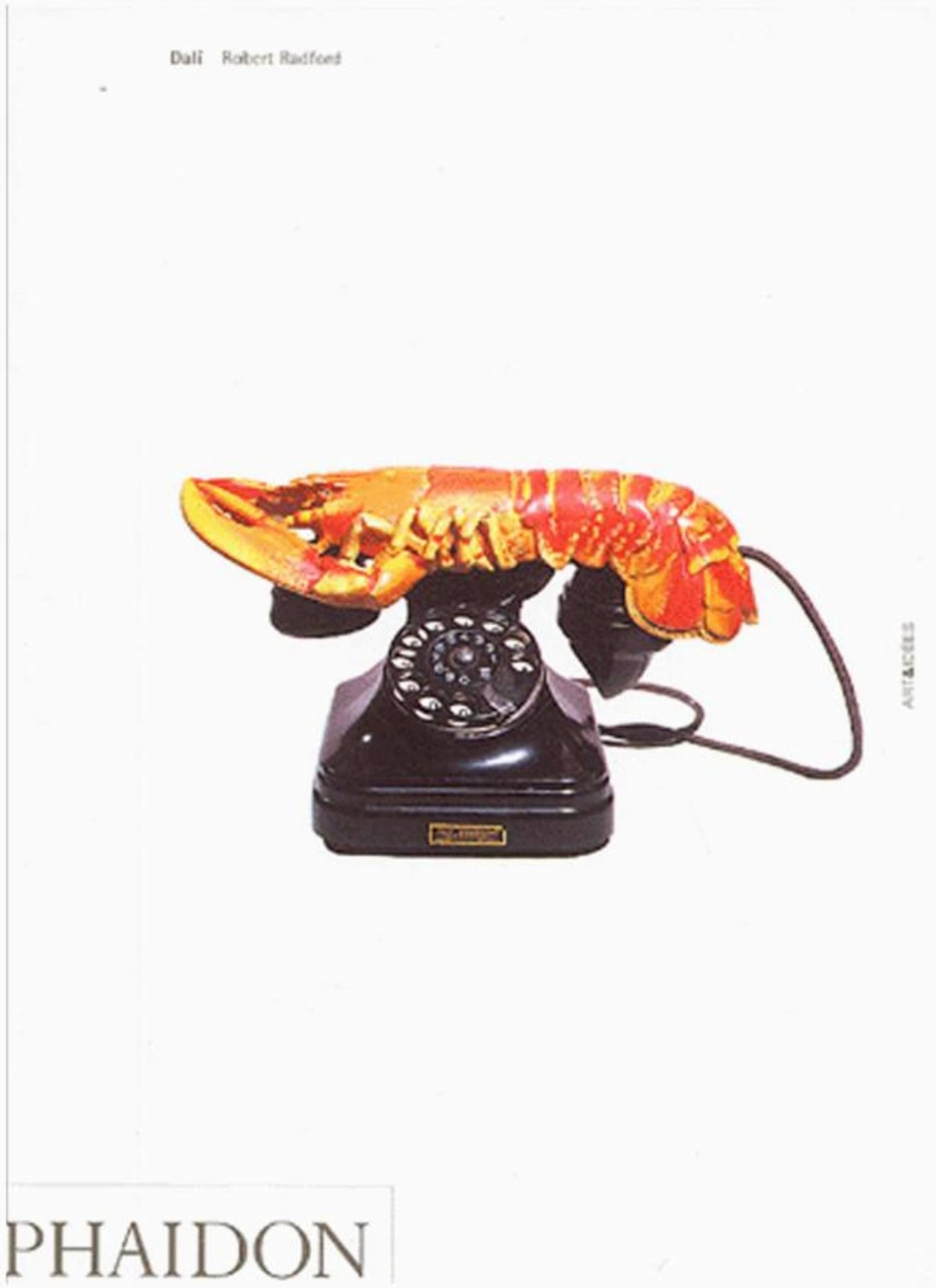 Dalí book cover