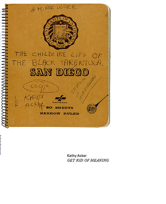 Kathy Acker: Get Rid of Meaning book cover