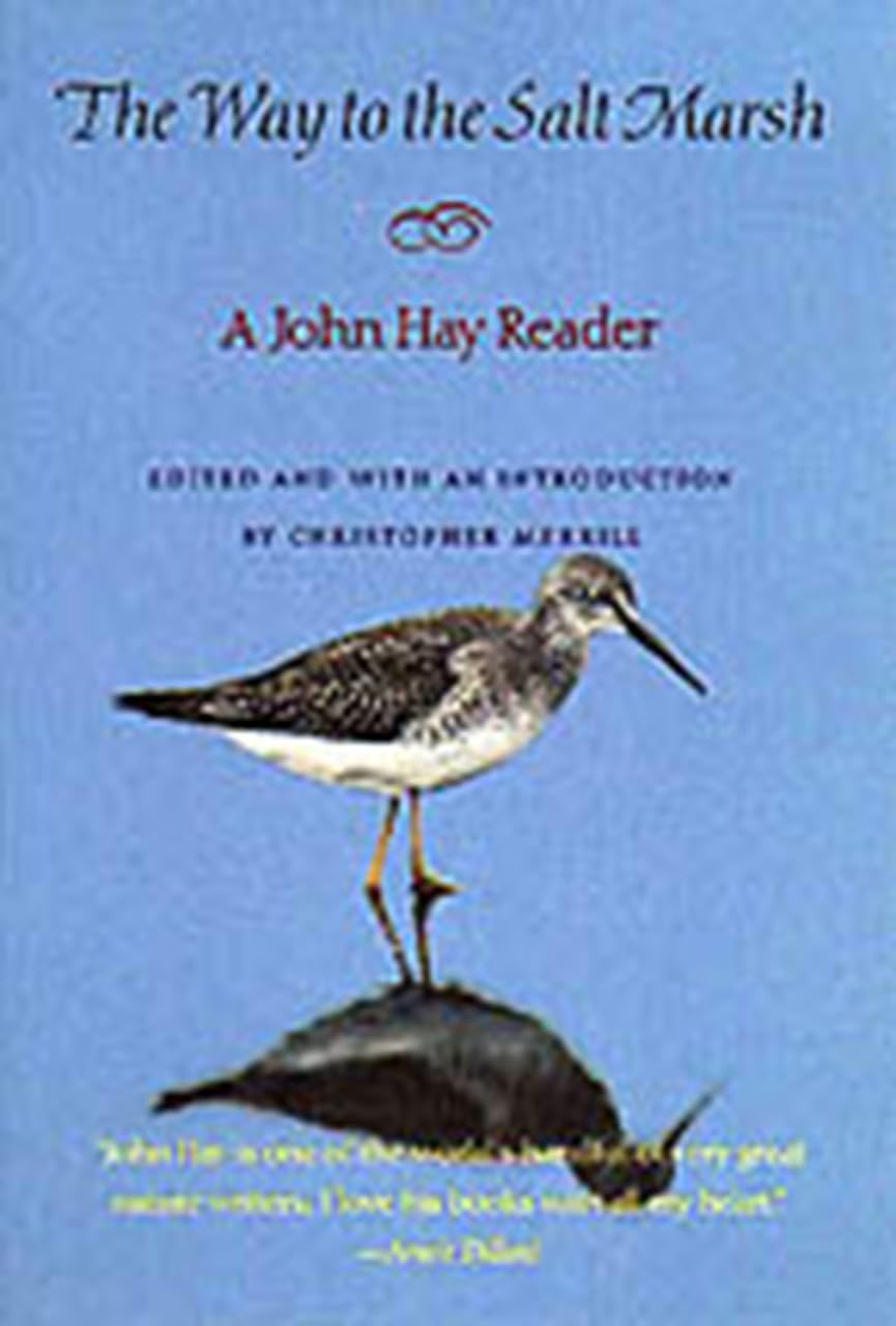 Way to the Salt Marsh: Cultural Recall in the Present book cover