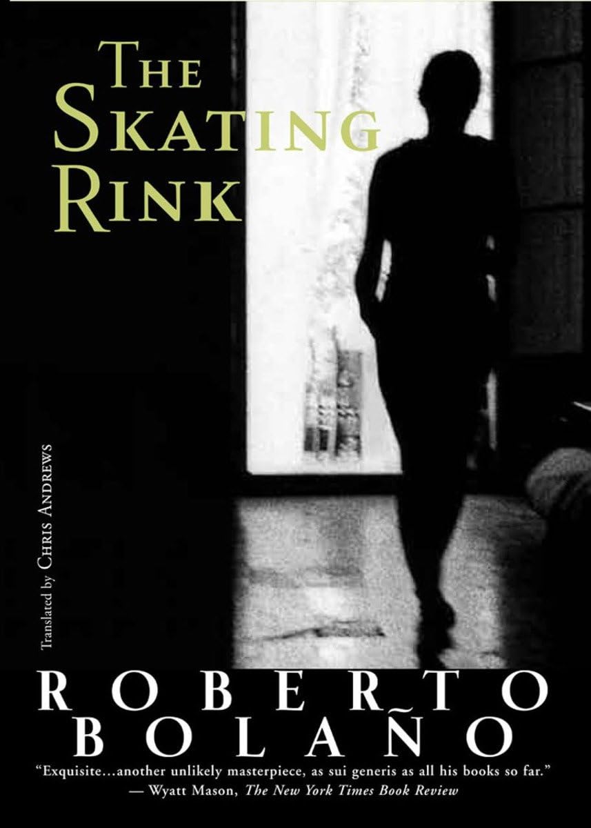 Skating Rink book cover