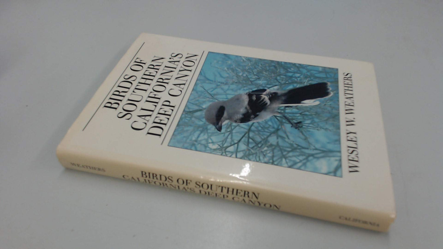 Birds of Southern California's Deep Canyon book cover