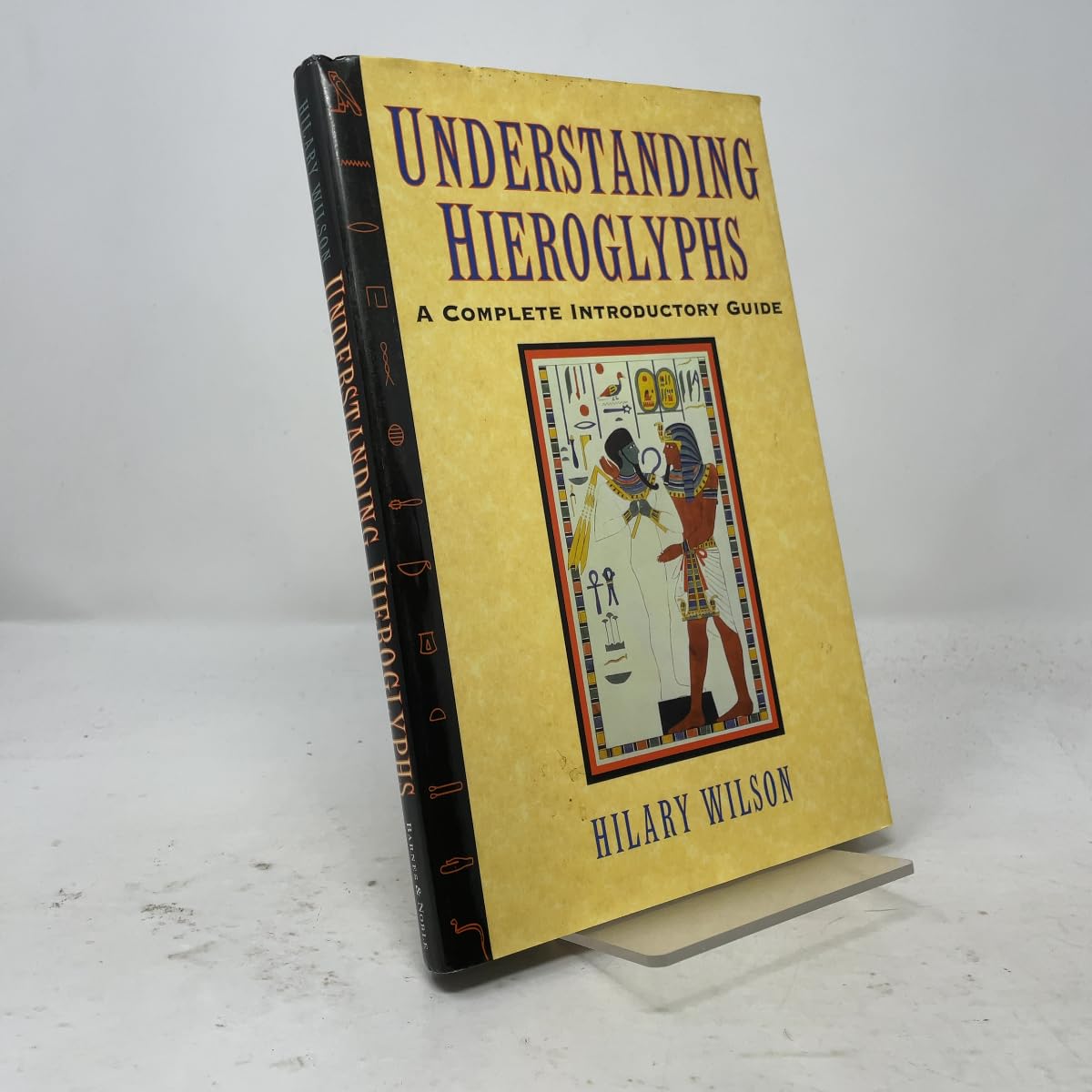 Understanding Hieroglyphs. a Complete Introductory Guide book cover