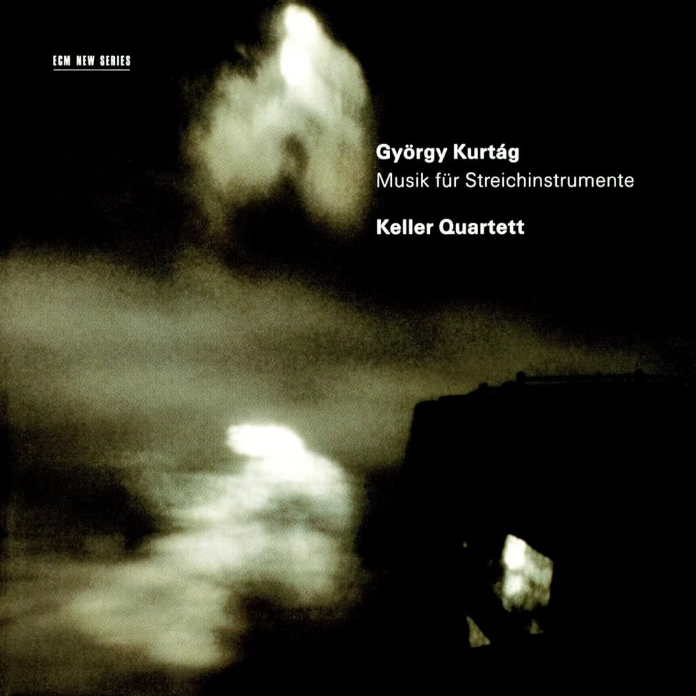 Musik Fur Streichinstrumente book cover