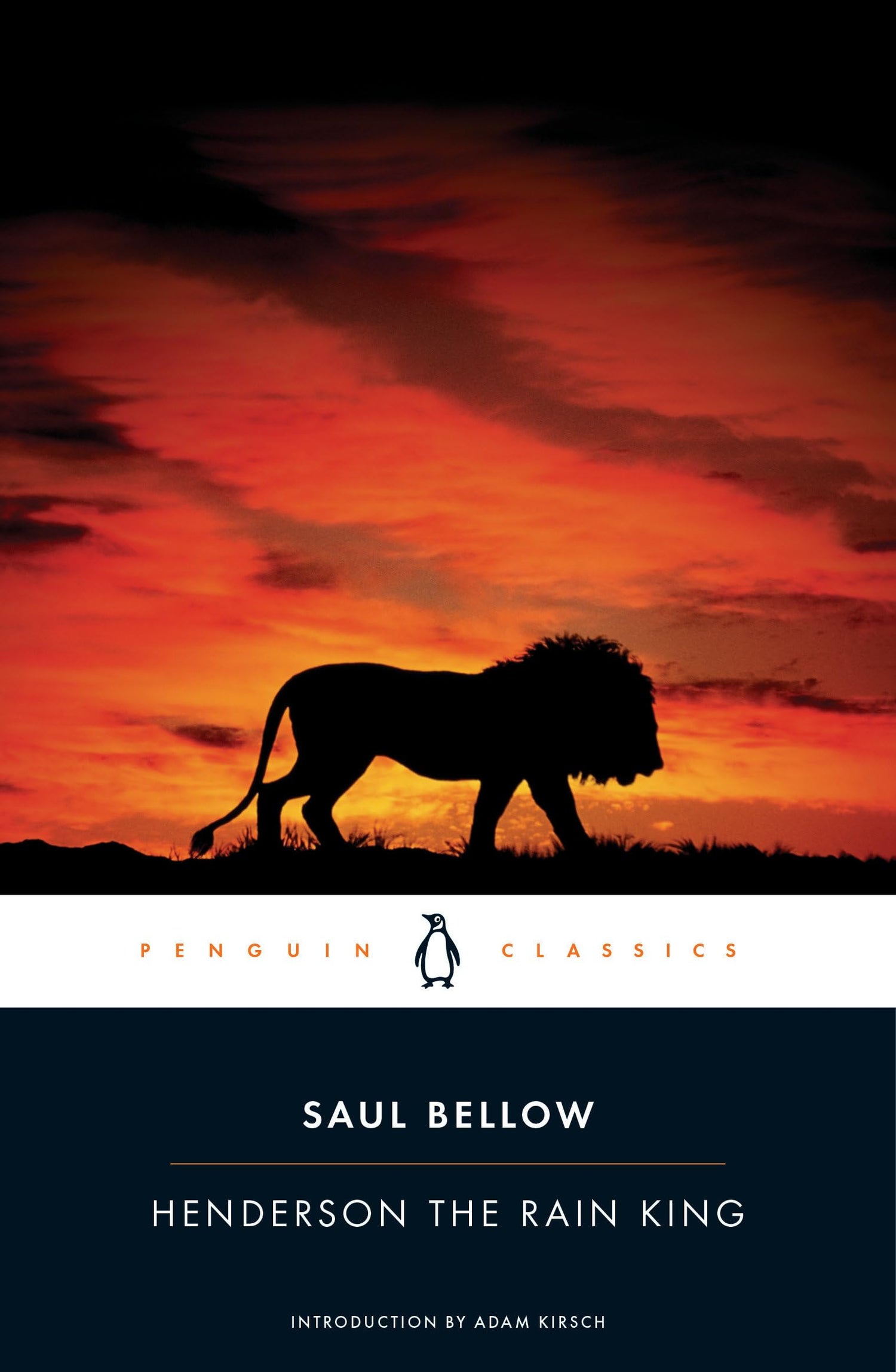 Henderson the Rain King book cover