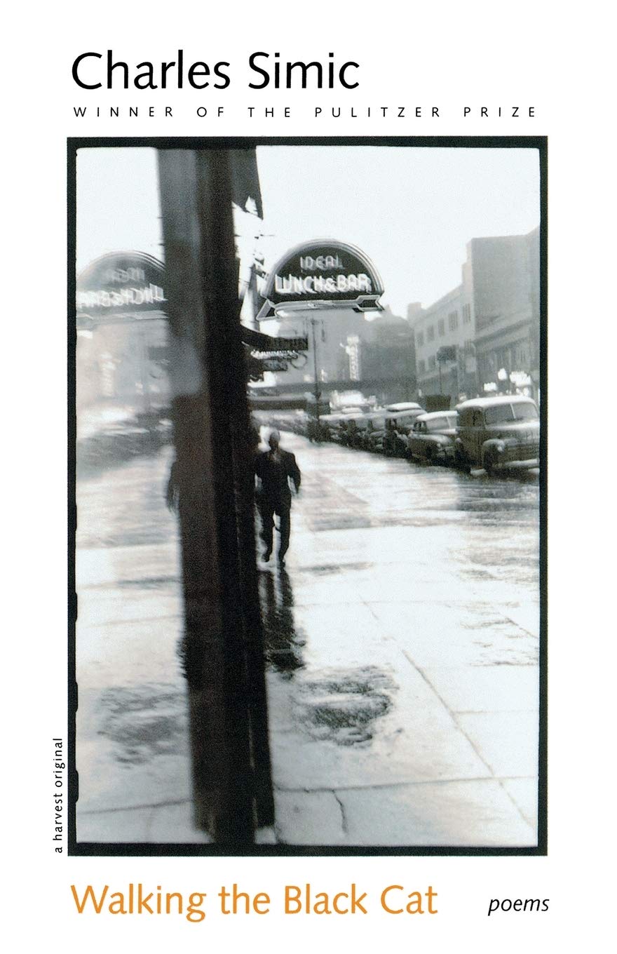 Walking the Black Cat book cover