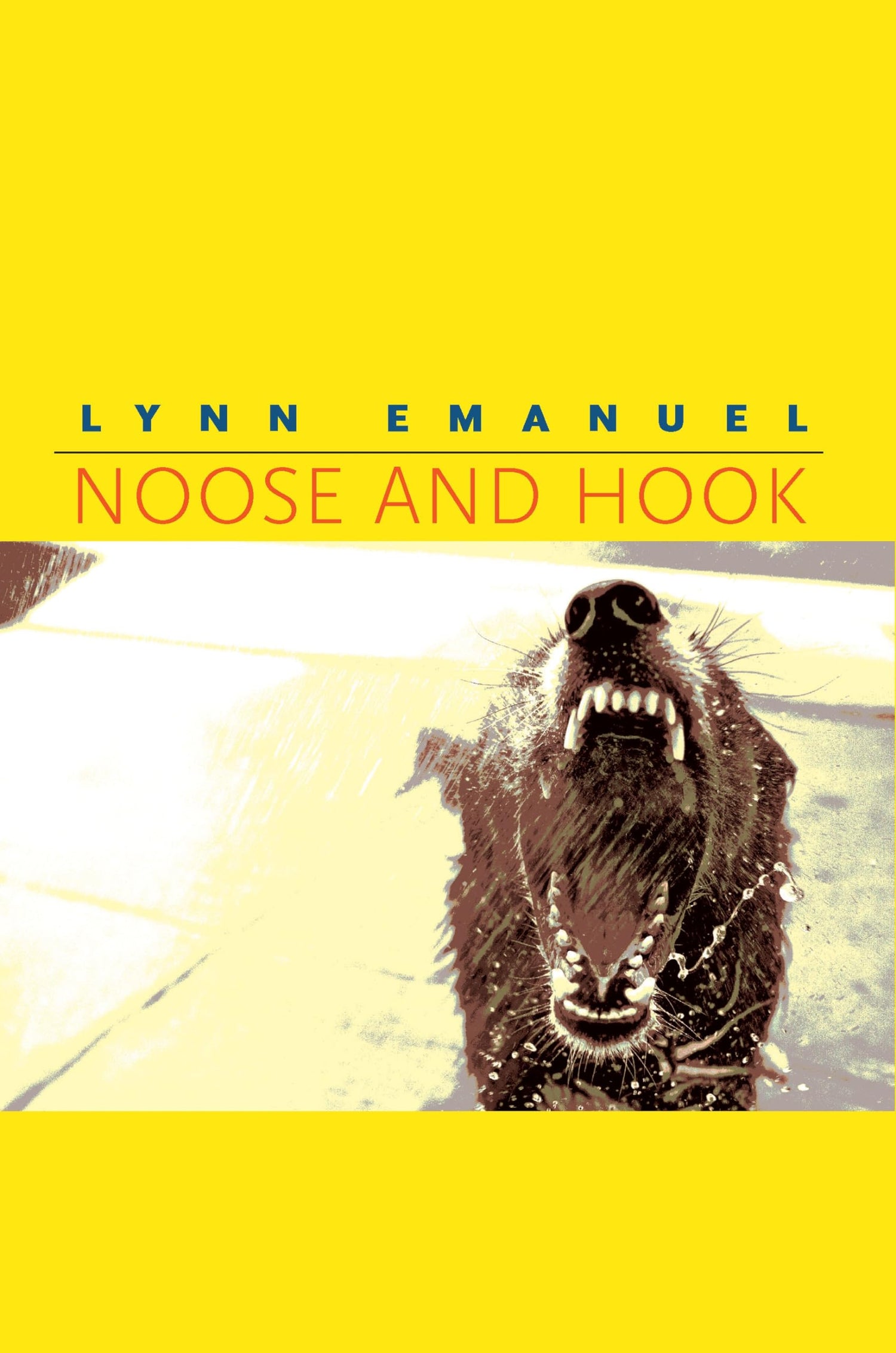Noose and Hook book cover