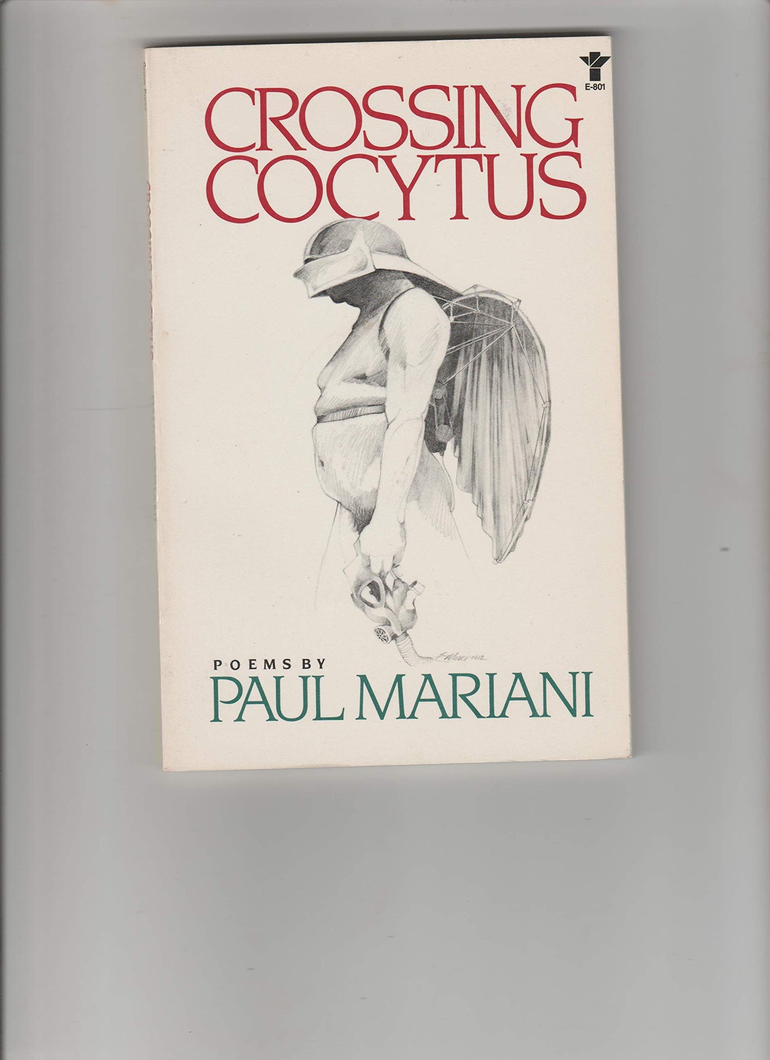 Crossing Cocytus: Poems book cover