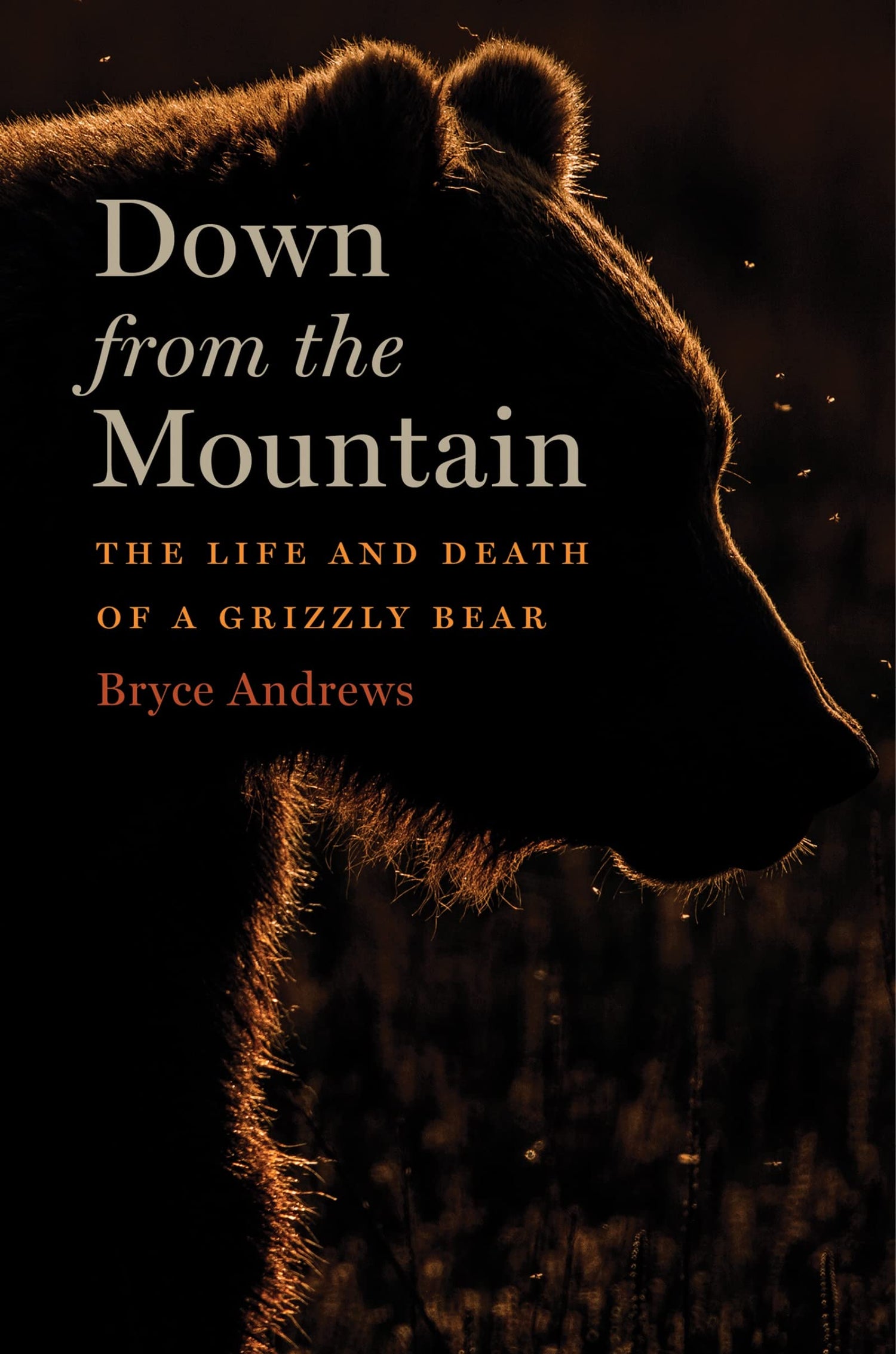 Down from the Mountain: The Life and Death of a Grizzly Bear book cover