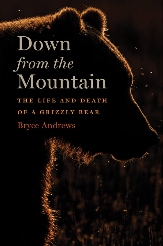 Down from the Mountain: The Life and Death of a Grizzly Bear book cover