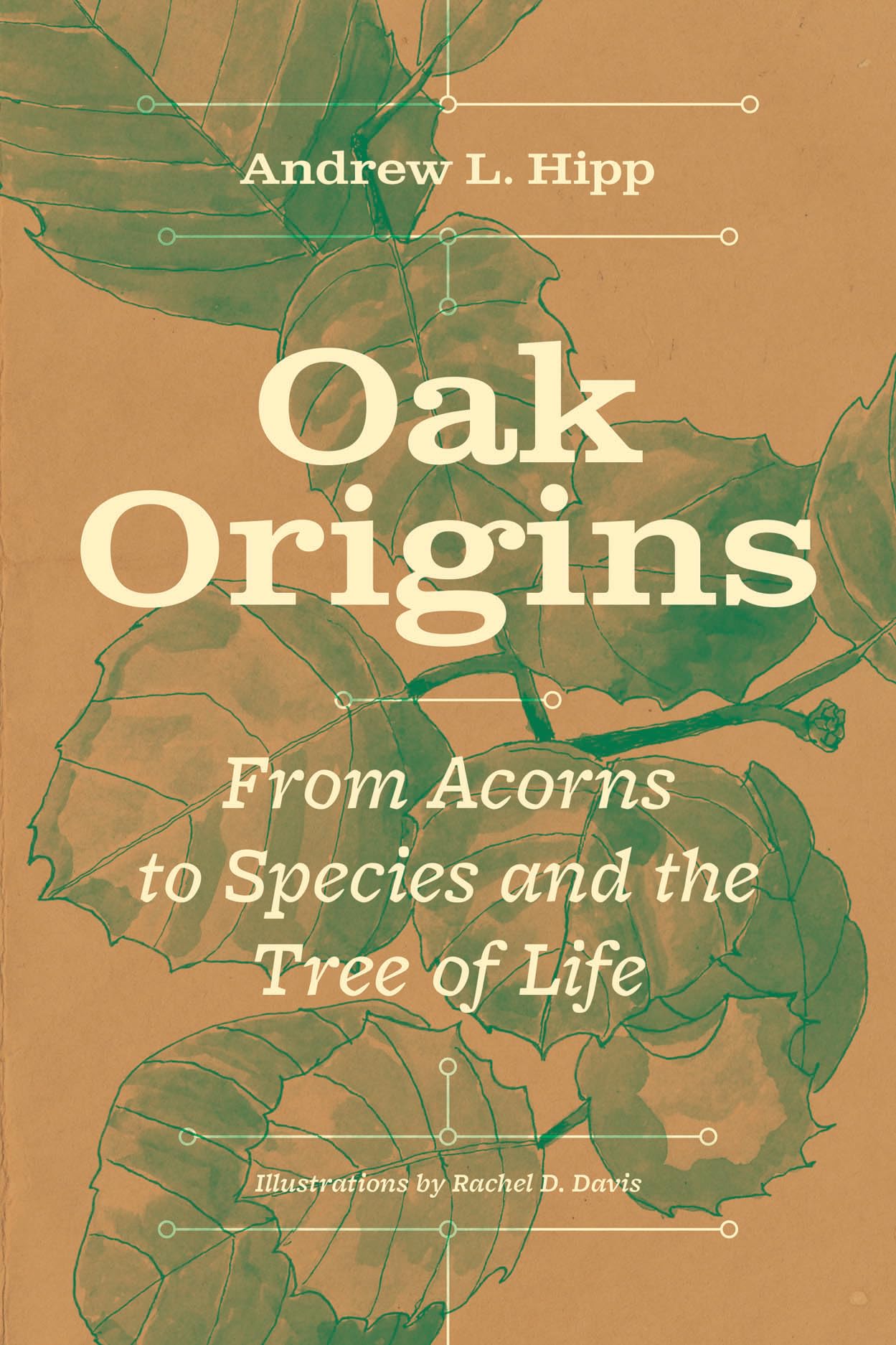 Oak Origins: From Acorns to Species and the Tree of Life book cover