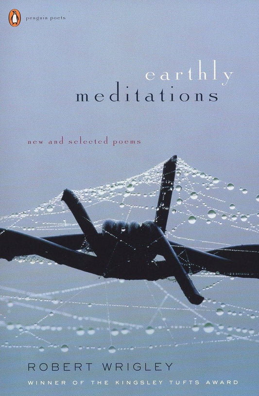 Earthly Meditations: New and Selected Poems book cover