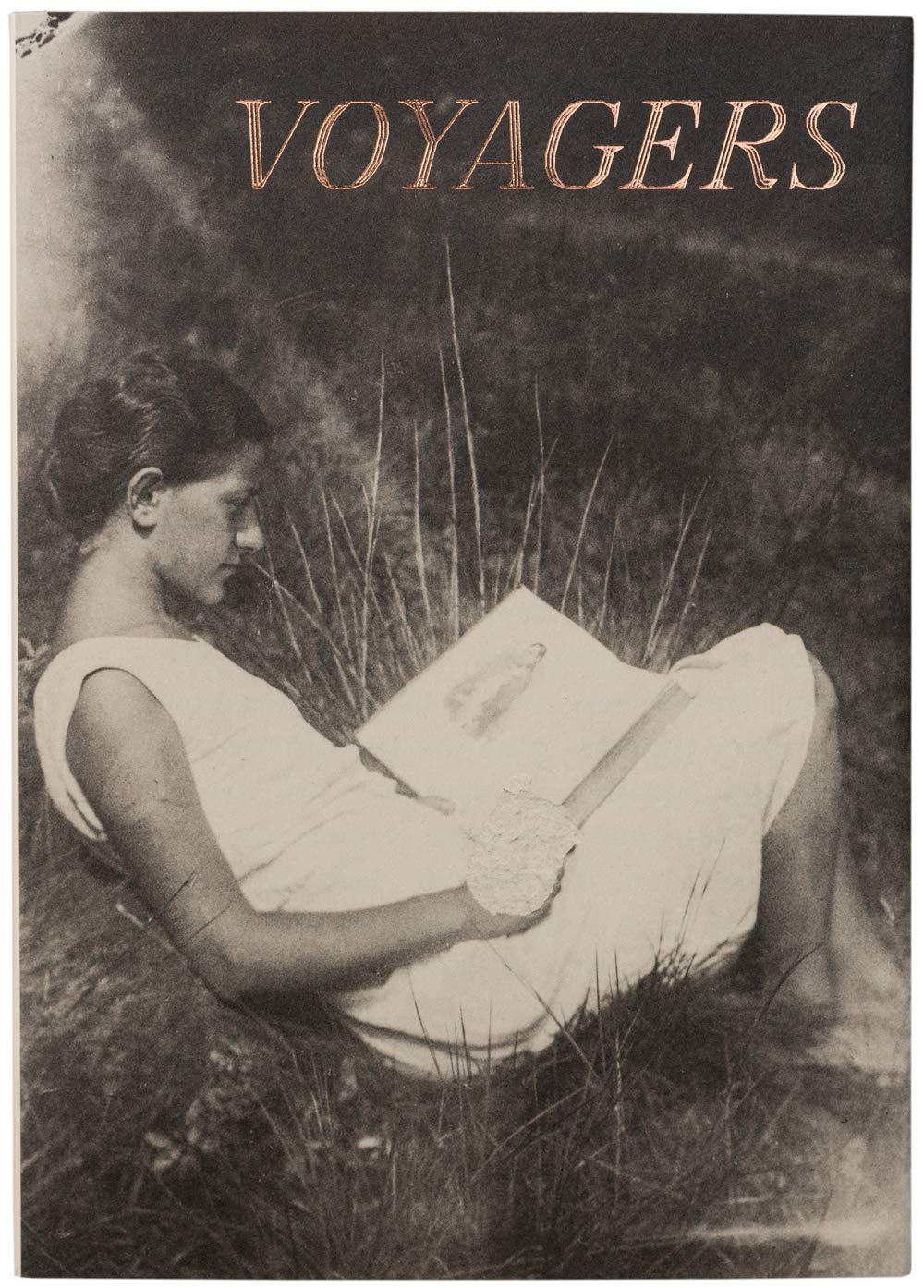 Voyagers book cover