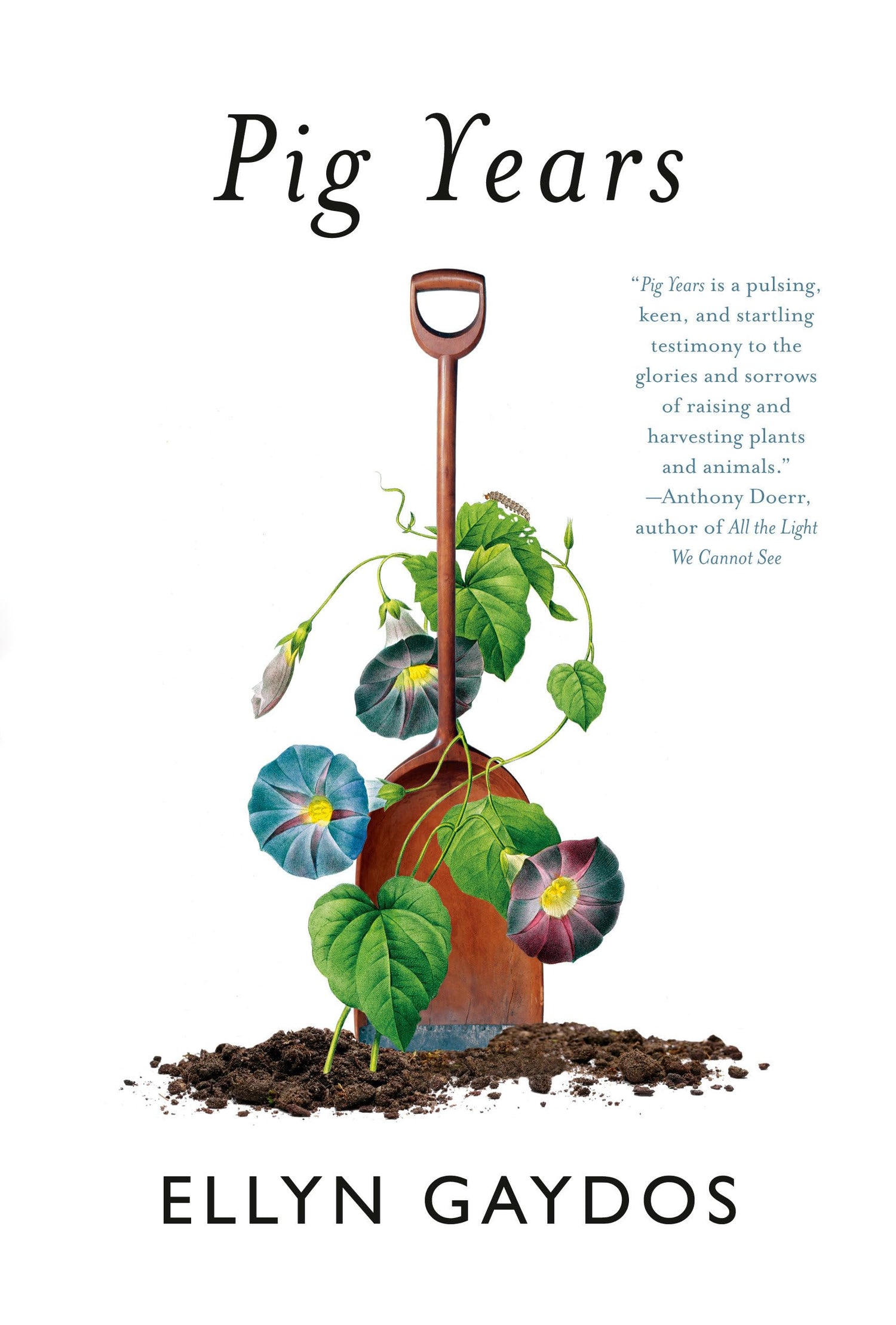 Pig Years book cover