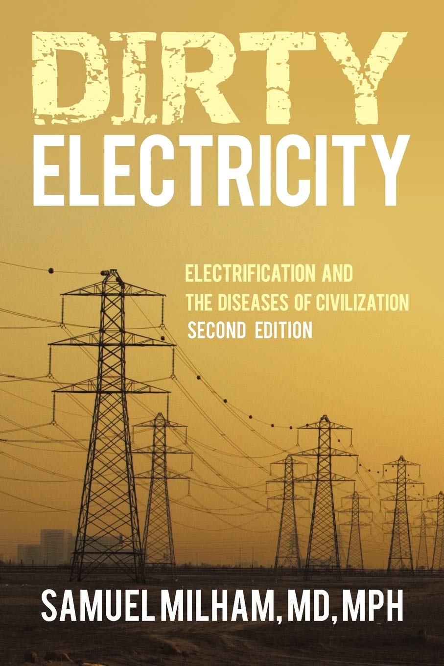 Dirty Electricity: Electrification and the Diseases of Civilization book cover