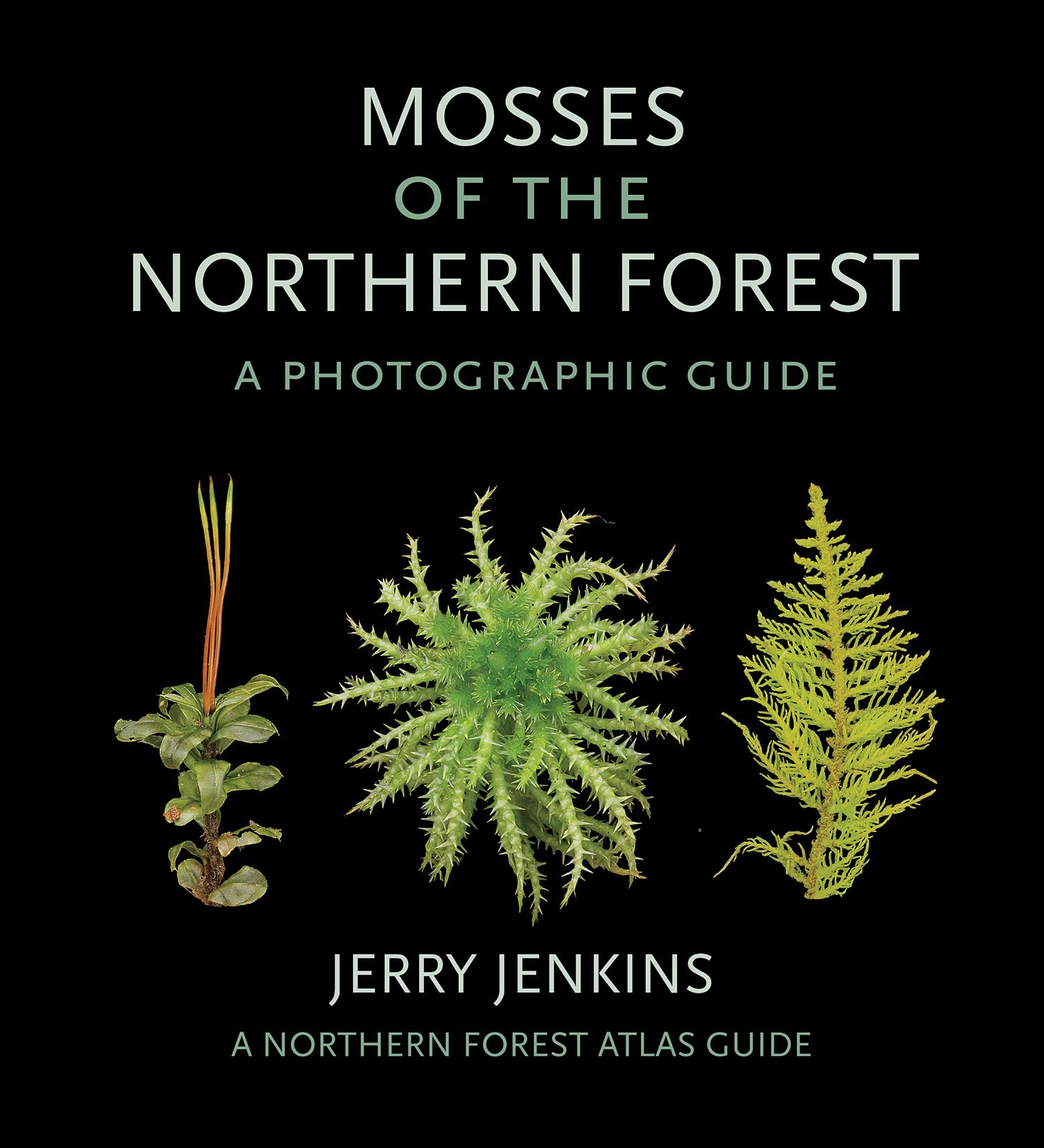 Mosses of the Northern Forest: A Photographic Guide book cover
