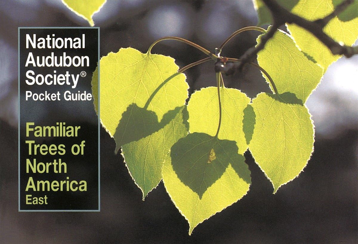 National Audubon Society Pocket Guide to Familiar Trees: East book cover