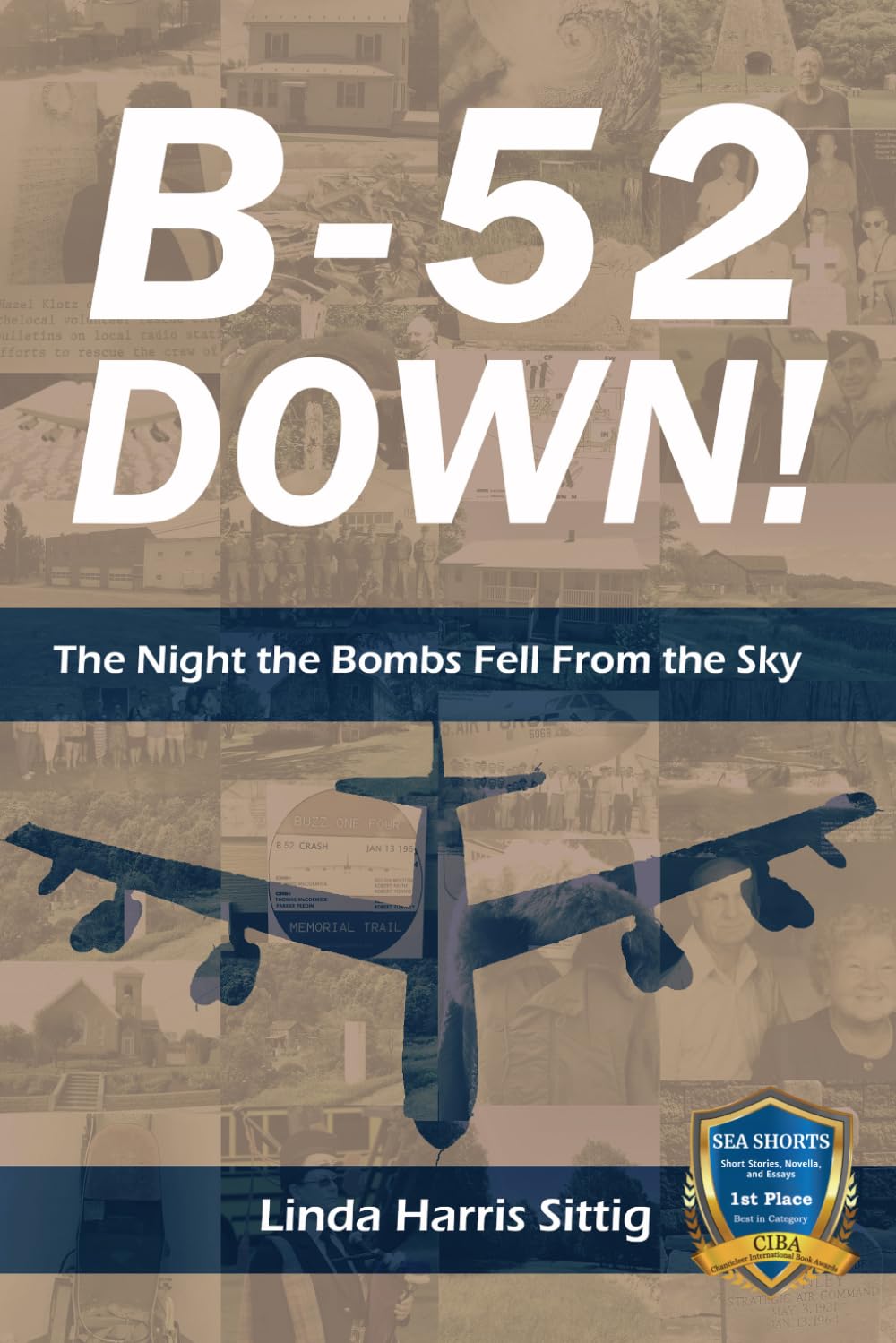 B-52 DOWN: The Night the Bombs Fell From the Sky book cover