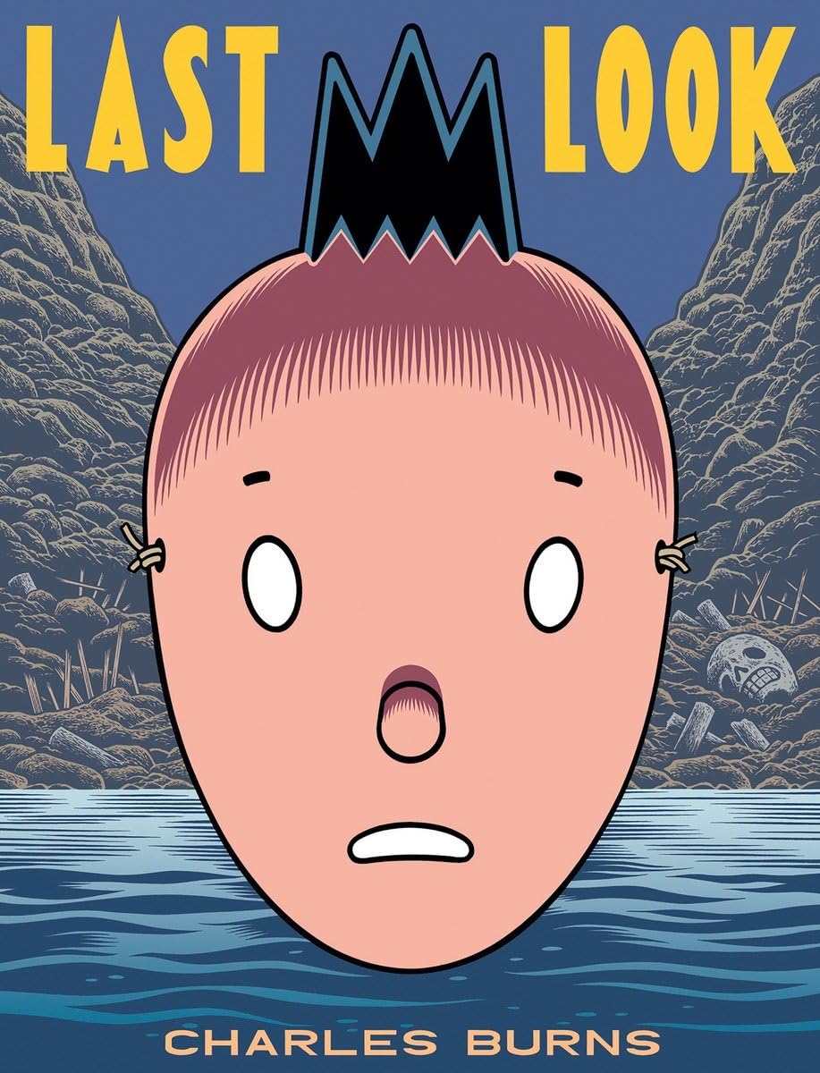 Last Look book cover