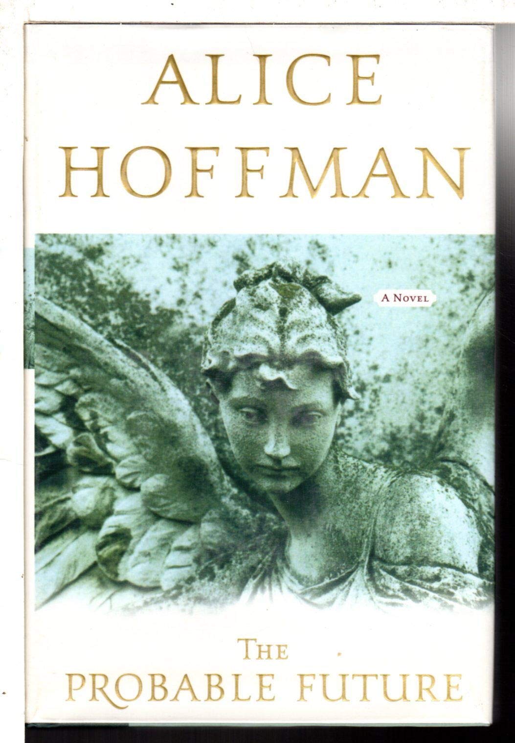 Probable Future book cover