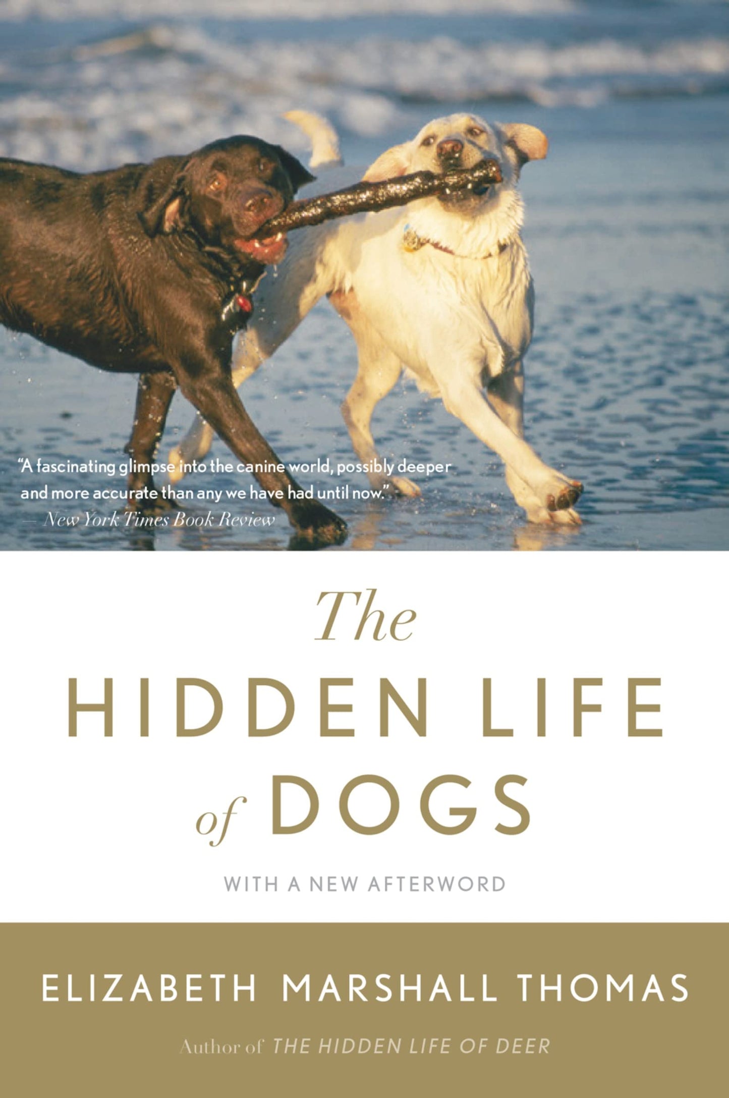 Hidden Life of Dogs book cover