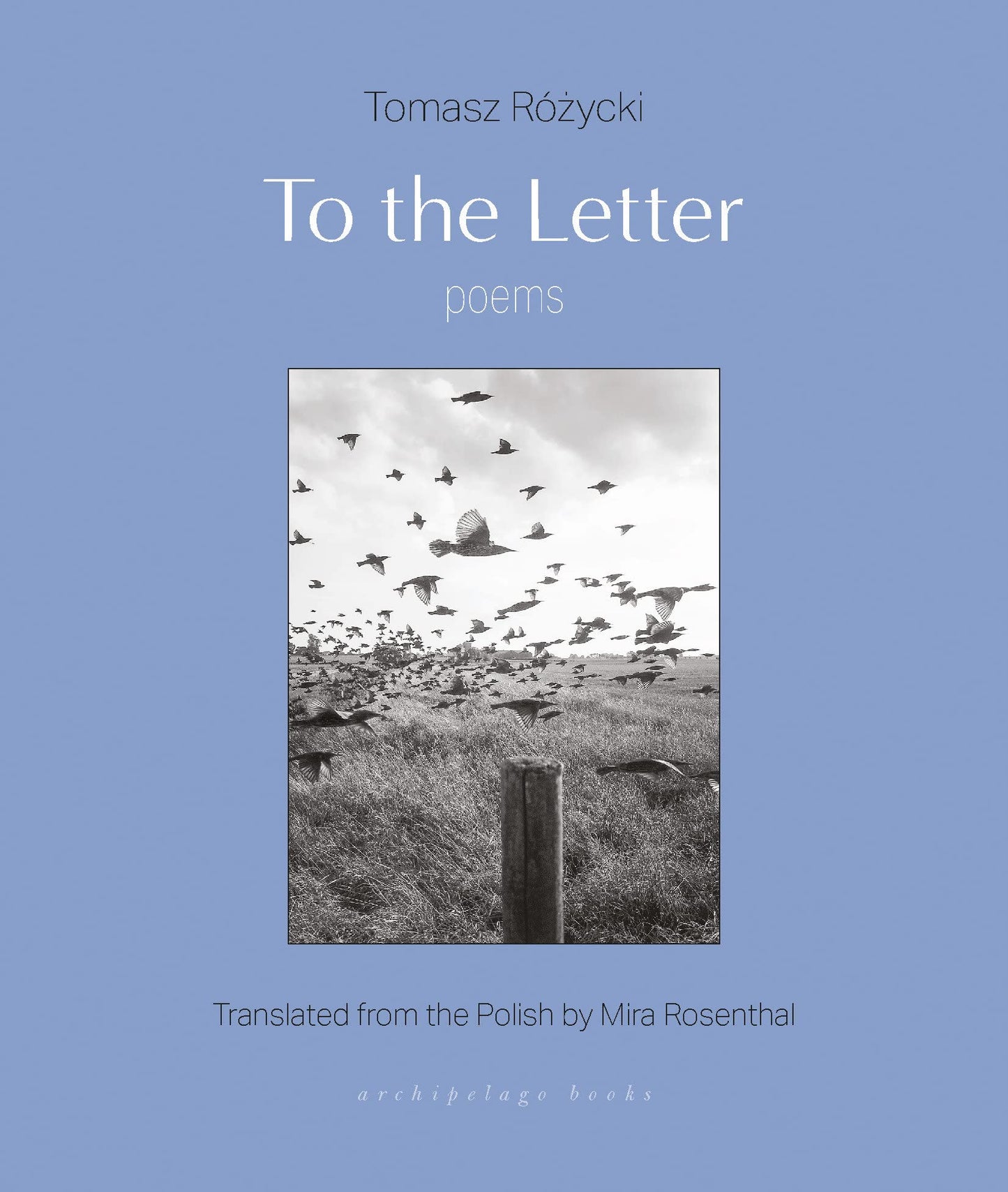 To the Letter: Poems book cover