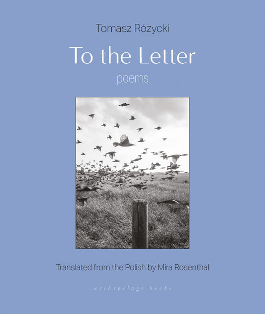 To the Letter: Poems book cover