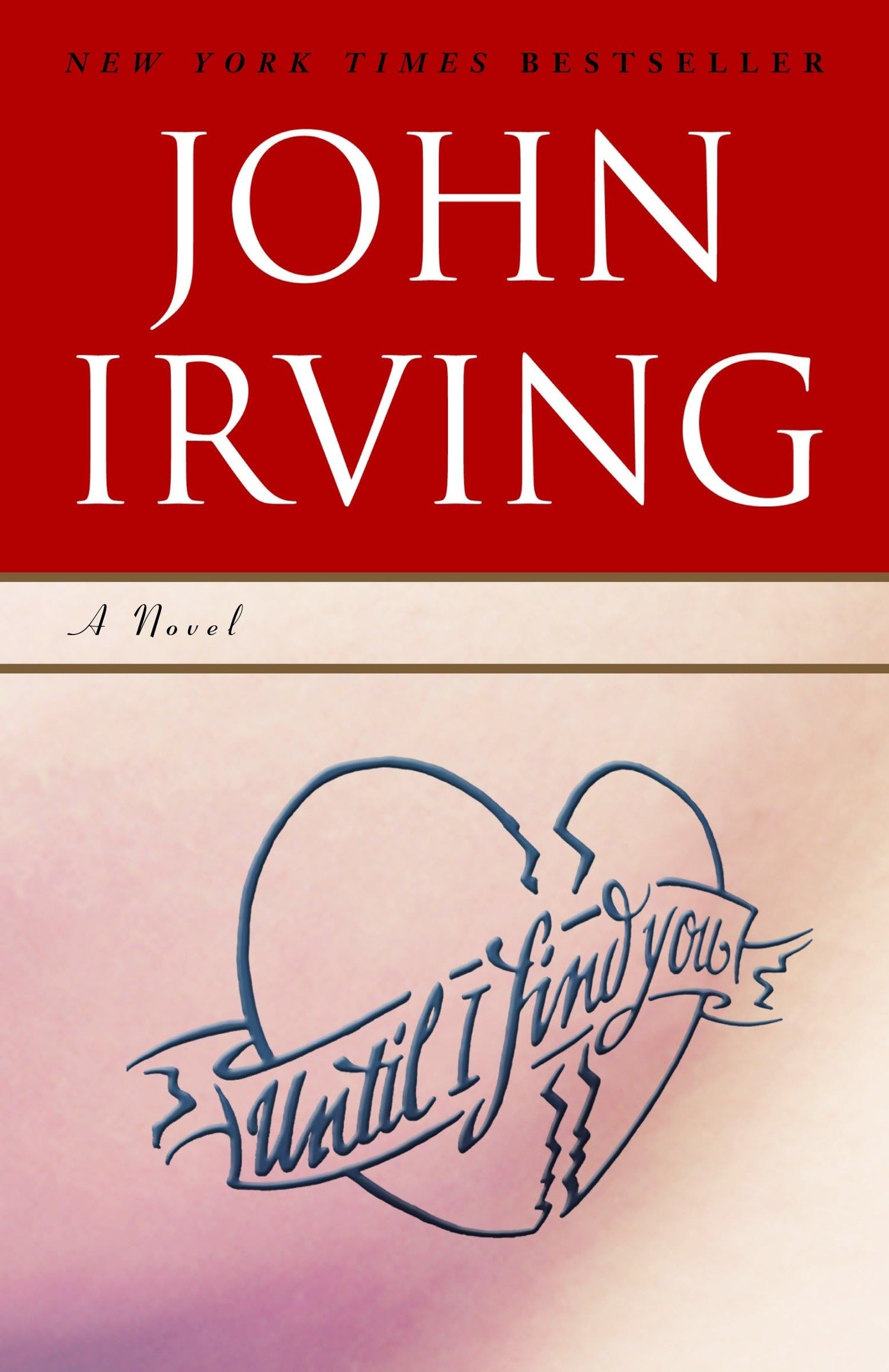 Until I Find You book cover