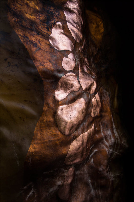 Conjured from Dust book cover