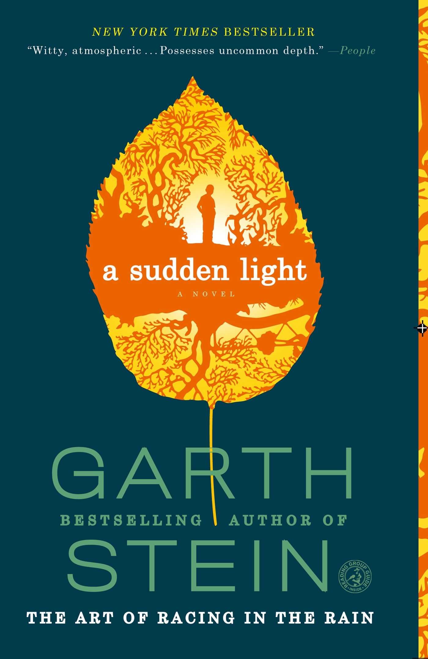 Sudden Light book cover
