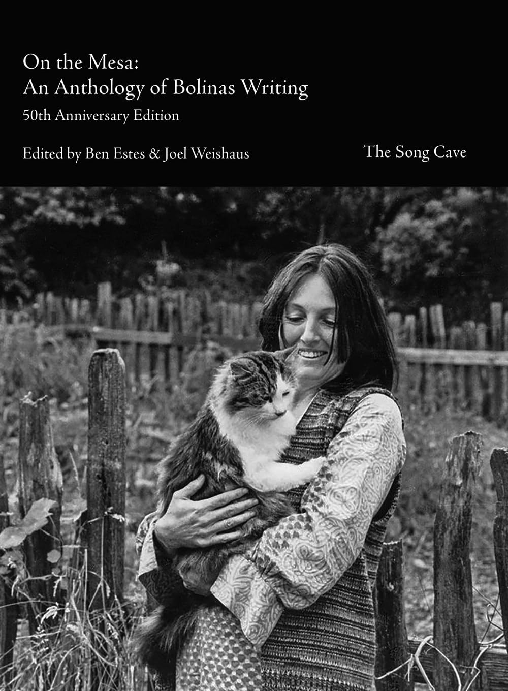 On the Mesa: An Anthology of Bolinas Writers book cover