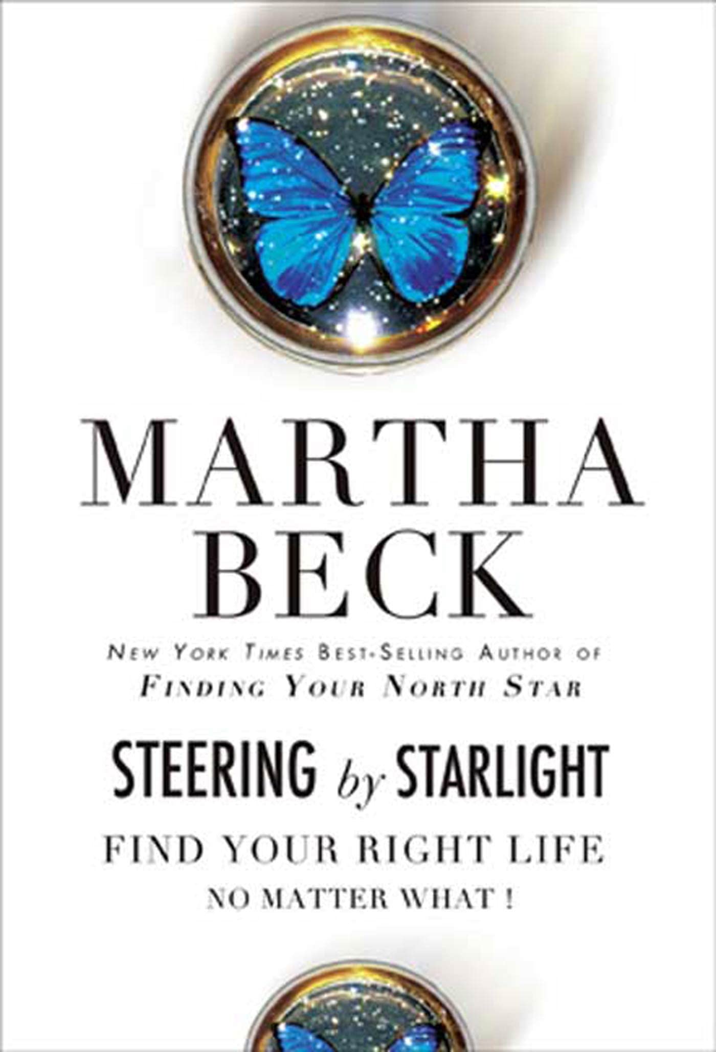 Steering by Starlight: Find Your Right Life, No Matter What! book cover