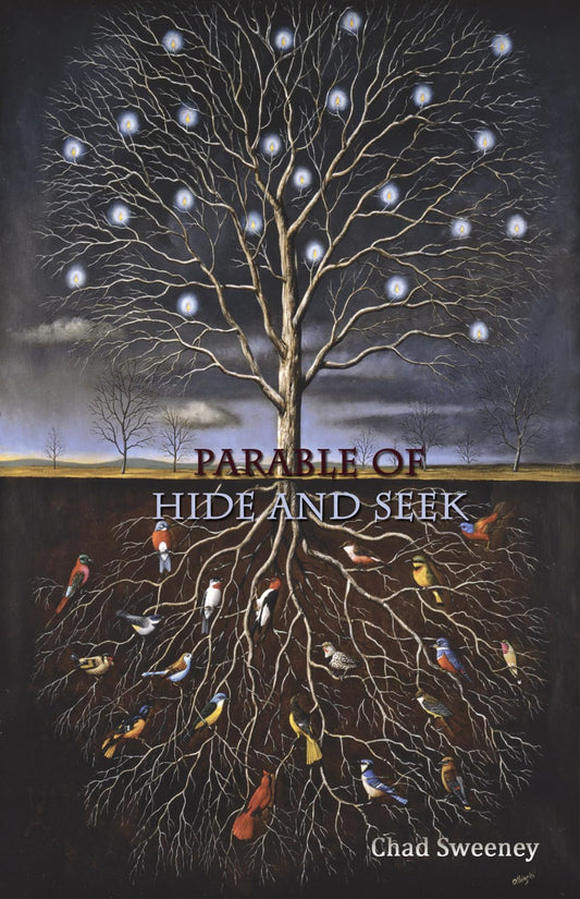 Parable of Hide and Seek book cover